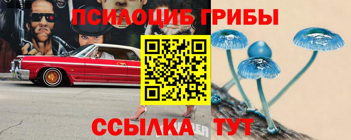 Алатырь  Галлюциногенные грибы GOLDEN TEACHER  Галлюциногенные грибы прущие грибы  Вход с VPN 